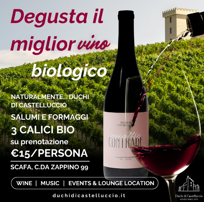 prenota la tua degustazione in cantina vino d'abruzzo montepulciano cerasuolo rosso assaggio vino pescara chieti cantina val pescara foto1